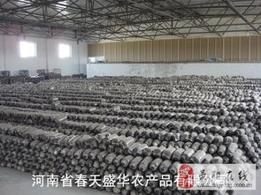 食用菌產業的全面服務 菌棒、菌袋、菌種及進出口解決方案