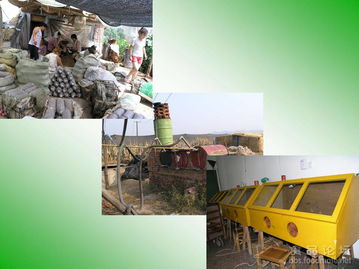 我國食用菌菌種管理技術(shù)解析與進(jìn)出口實務(wù)探討